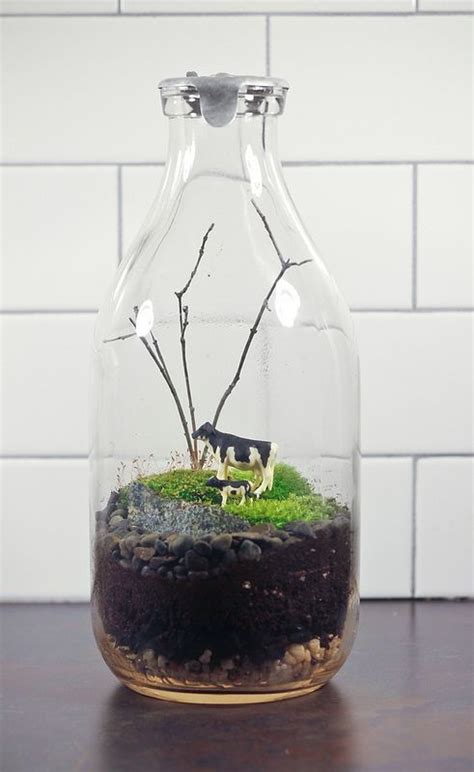 Eight Oaks Terrariums | Glass bottle diy projects, Glass bottle diy ...