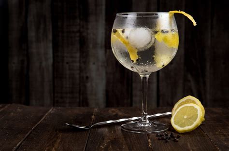 The best gin for a gin and tonic: Eight to try - Decanter