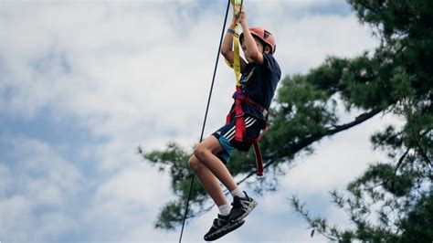 CoedLan - High Ropes at St Fagans - Events | Lets Go With The Children