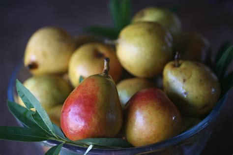 Seckel Pears Canned In Red Wine Syrup – Grow it Cook it Can it