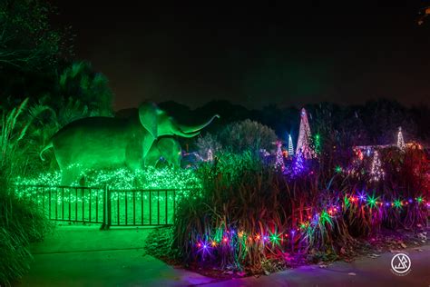 Jacksonville Zoo and Gardens to hold ‘ZOOLights’ event