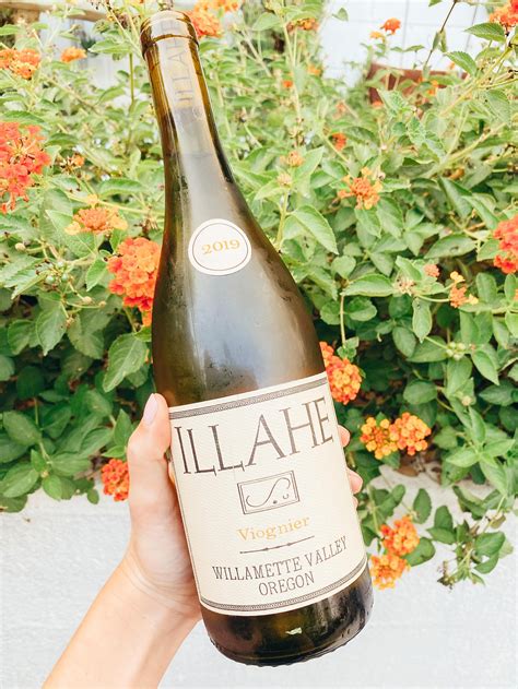 10 White Wines for Fall and Winter — Lexi's Wine List