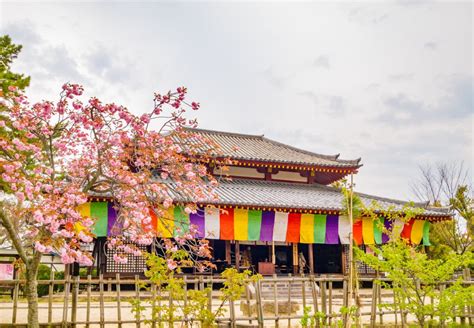 The 5 Best Temples in Nara, Japan | CuddlyNest