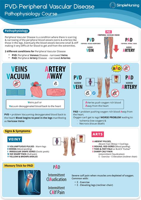 PAD PVD Peripheral Arterial Disease Vs Peripheral Venous, 53% OFF