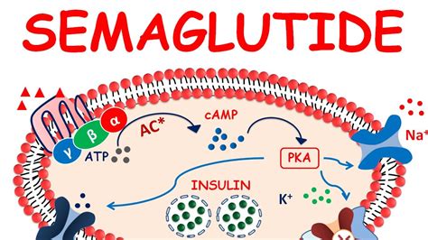 Semaglutide weight loss | Ozempic | Semaglutide injection - YouTube