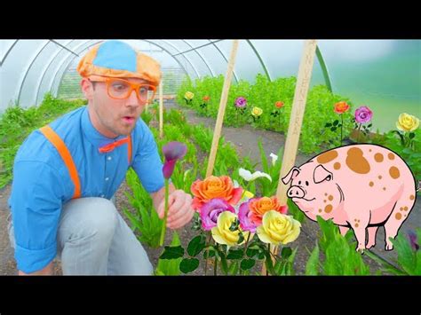 Blippi Farm Tour | Farm Animals and Vegetables for Kids - Videos For Kids