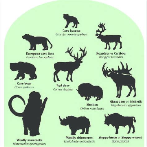 Mammal faunal elements of the ice-age Mammoth Steppe, a hybrid of... | Download Scientific Diagram