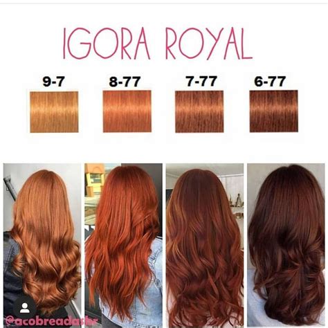 Cores lindas de IGORA ROYAL . . . #igora #igoraroyal #igora877 # ...