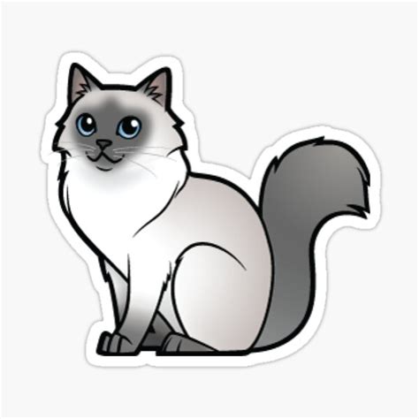 "Ragdoll Cartoon Cat" Sticker by T-rexLover | Redbubble