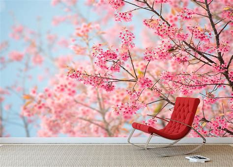 Cherry Blossom Wall Mural Wallpaper | Canvas Art Rocks