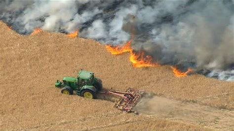 ‘I lost £40,000 worth of crops in a field fire’ - BBC News