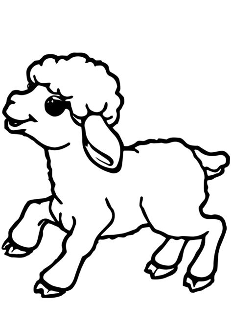 Coloring Pages | Baby Sheep Coloring Pages