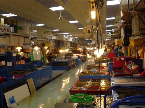 From Busan: Jagalchi Fish Market