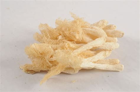 bamboo fungus,China Zhuo price supplier - 21food