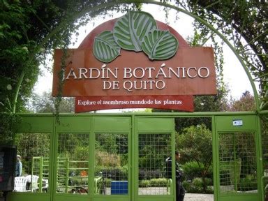 Observación de flora en Provincia de Pichincha