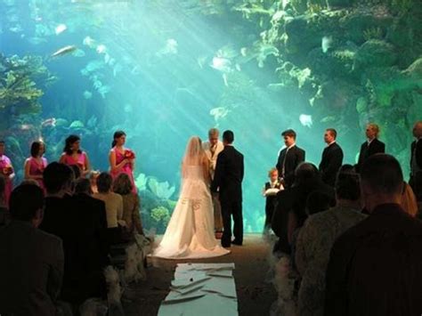 The Florida Aquarium - Tampa, Florida - Find Unique Venues