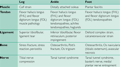 Differential diagnoses for medial ankle pain | Download Table