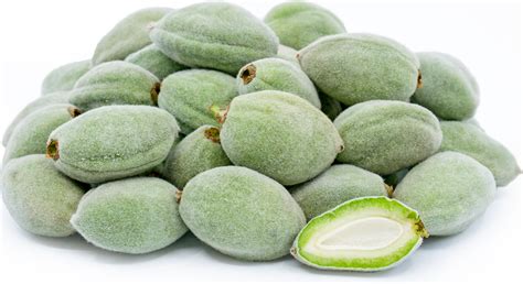 Dream Meaning of Unripe Almond (Green Almond) - Dream Interpretation