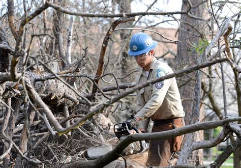 Fire fuel reduction efforts in motion in Bidwell Park – Chico ...