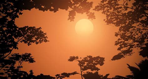 Sunset in the forest, beautiful landscape, big sun, forest silhouette 5113288 Vector Art at Vecteezy