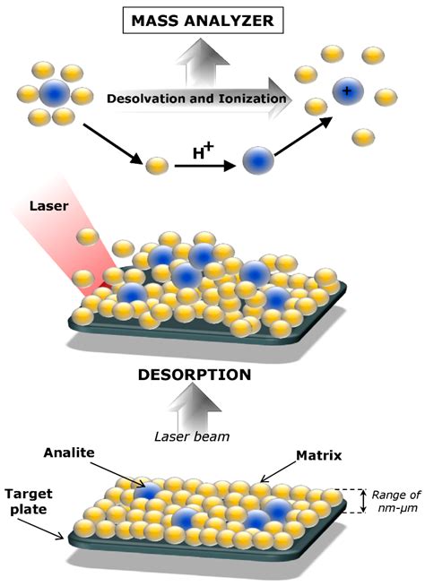 Nanomaterials | Free Full-Text | Complementarity of Matrix- and Nanostructure-Assisted Laser ...