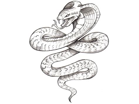 Snake Pencil Drawing at GetDrawings | Free download