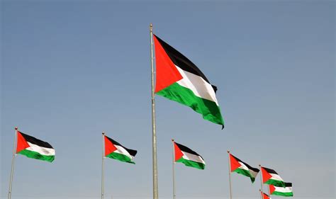 What it means to raise the Palestinian flag in today's America