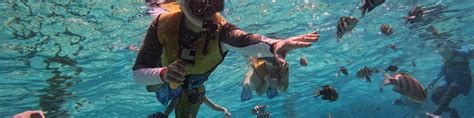 Explore the Best 5-in-1 Snorkeling Tour with Turtles, Reefs, Musa, and Shipwreck - Klook United ...