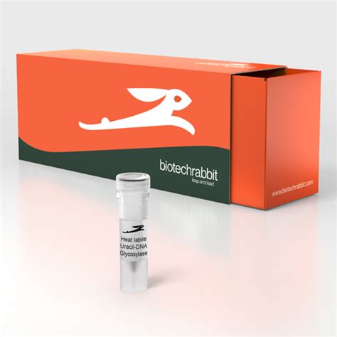 biotechrabbit | Heat Labile Uracil-DNA Glycosylase, 1 U/µl | leap and lead