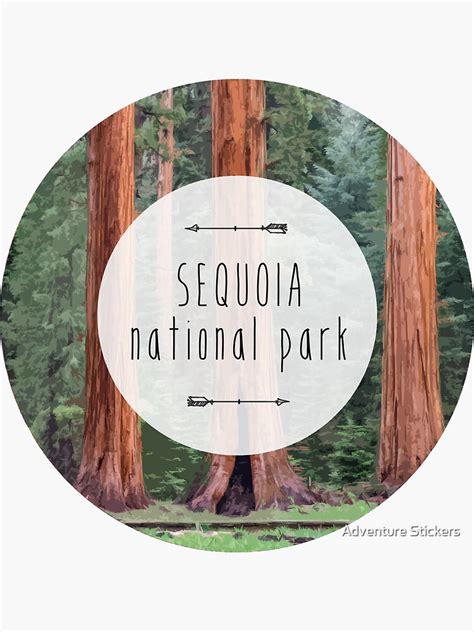 "Sequoia National Park" Sticker by tysonK | Redbubble