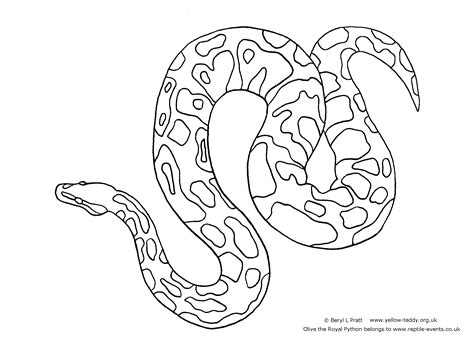 Download or print this amazing coloring page: Ball Python Coloring Drawings: Ball Python ...