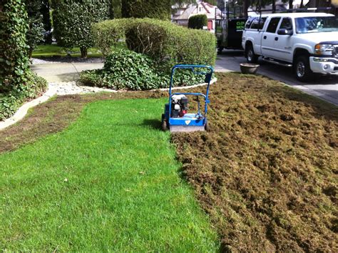 Moss Control – Cloverdale Mowing