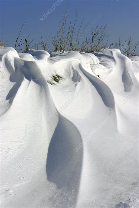 Snow drift - Stock Image - C003/9026 - Science Photo Library