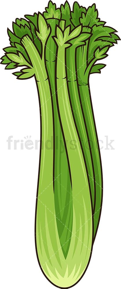 Simple Celery Cartoon Vector Clipart - FriendlyStock