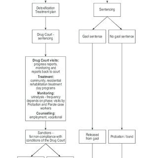 Structure of Drug Court resource flows and services | Download ...