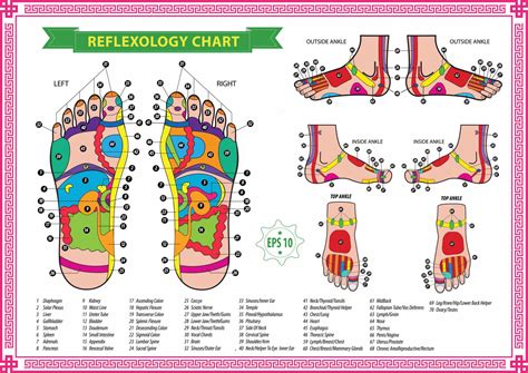 Reflexology Charts For Feet | Business Mentor