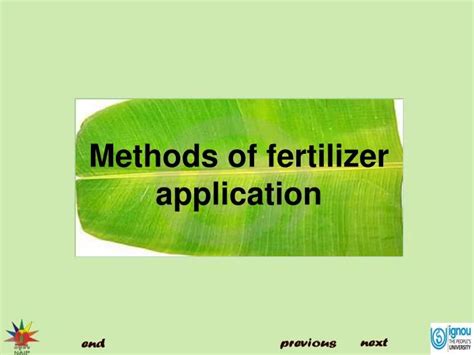 PPT - Methods of fertilizer application PowerPoint Presentation, free ...