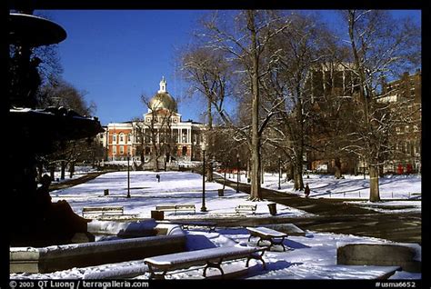 Picture/Photo: Boston common in winter. Boston, Massachussets, USA