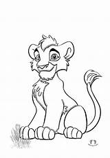 Baby Lion coloring pages  Yavru Aslan boyama Didiyom Tv sketch template