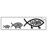 16 Darwin Fish Bumper Sticker ideas | bumpers, darwin, bumper stickers