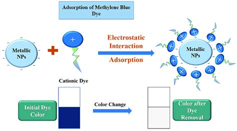 Mechanism of adsorption of MB dye. | Download Scientific Diagram