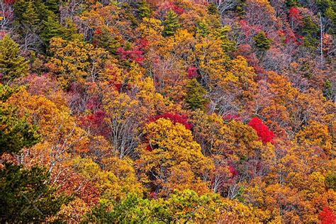 "Fall colors in the Appalachian Mountains" by Bernd F. Laeschke | Redbubble