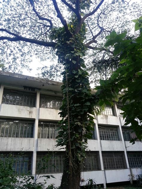 Know Bangladesh: Dhaka University campus