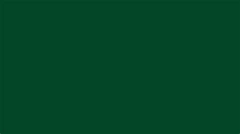 Deep Forest Green Solid Color Background Image | Free Image Generator