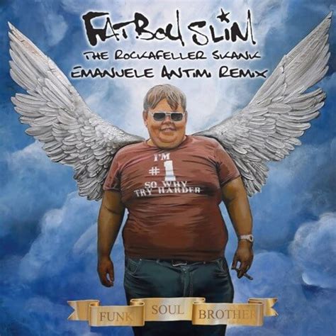 Fatboy Slim – The Greatest Hits (Why Try Harder) – LP Freak