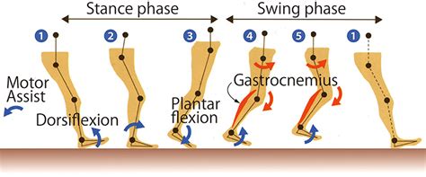 Development of Walking Support Robot“RE-Gait®” | SPACE BIO LABORATORIES