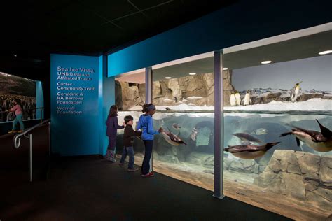 Penguin Exhibit at the Kansas City Zoo - Architizer