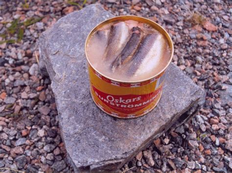 Surströmming | Swedish Stinky Fish | Fermented Baltic Herring