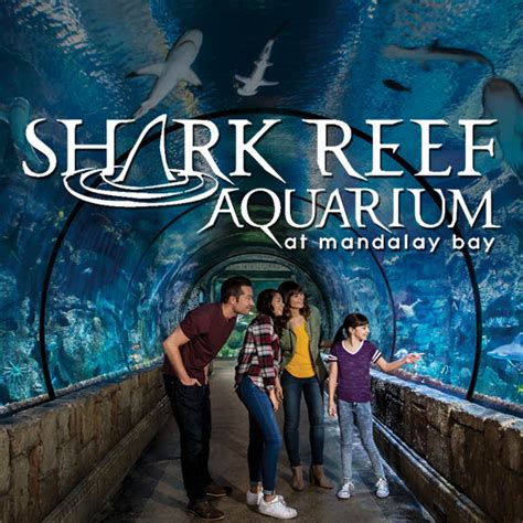 Shark Reef Aquarium Tickets - Last Minute Deals