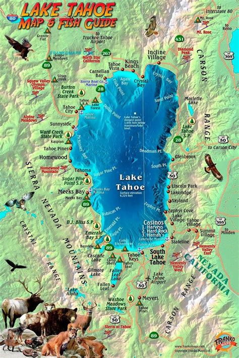 Mapa Lake Tahoe - Estados Unidos in 2021 | Lake tahoe, Lake, Nevada